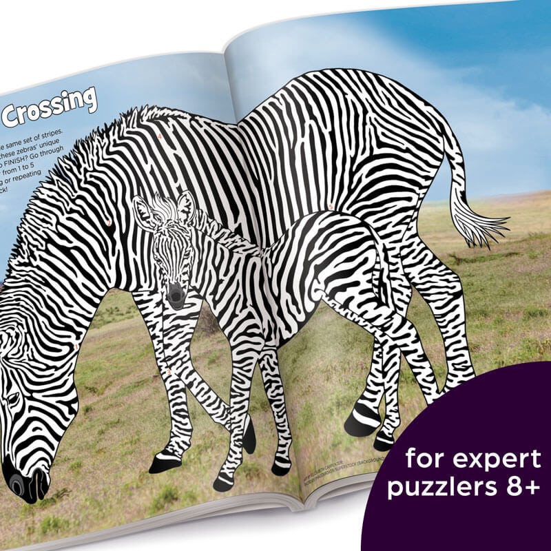 a9723-expert-puzzle-book-collection-for-kids-8plus_05.jpg