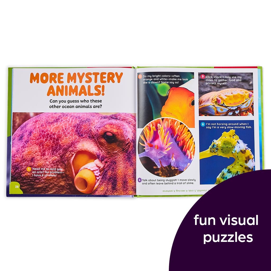 a9911-who-am-i-animal-riddles-2-book-set-4.jpg