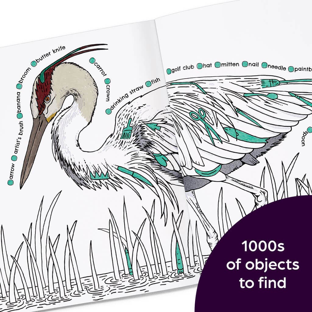 hidden-in-nature-hidden-pictures-coloring-book-a2435-04.jpg